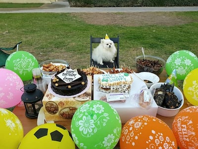 Due to "international rules", Snoopy was buried next to the runway at Cebu International. Courtesy: Cliff Rozal