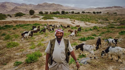A farmer tends to his goats that roam close to the sinkholes in Ghor Haditha in Jordan. Getty