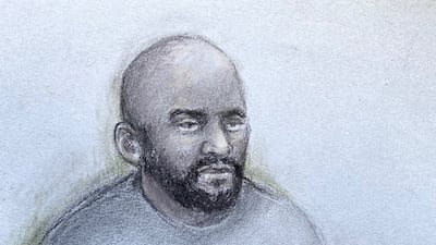 Aine Leslie Davis had been charged with possession of a firearm and two charges of funding terrorism. PA