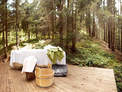 WaldSPA at Naturhotel Forsthofgut. Courtesy Hotel Forsthofgut