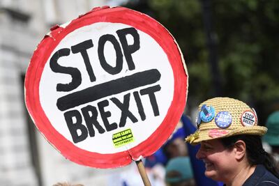 A campaigner in central London. Neil Hall / EPA