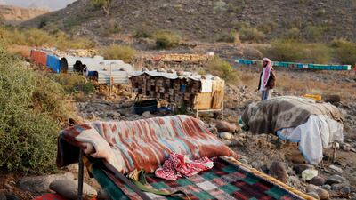 Sadeq Moushed, 35, inspects his beehives in Wadi Zabid