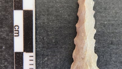 One of the artefacts found at Marawah Island during recent excavations. Courtesy Department of Culture and Tourism - Abu Dhabi