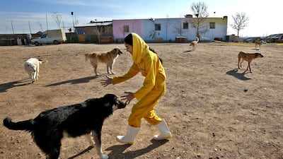 Around 30 lawmakers have signed onto a draft bill to punish dog-walkers with up to Dh11,000 in fines and 74 lashes, although a similar previous attempt failed.
