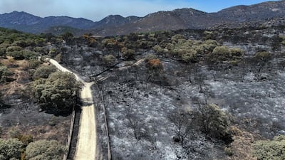 This picture shows an aerial view of scorched ground in the Camino de Navahonda area, following a wildfire near Robledo de Chavela, 60 kilometers west of Madrid. Spain faces two crucial days to bring raging wildfires under control before weather conditions worsen, authorities said on July 27, 2026, though they were making some progress and planned to start returning evacuees to certain areas. The fires in the Iberian country have affected an area of 77,000 hectares (190,000 acres) -- nearly the size of New York City -- according to the authorities. Since the start of the year, fires in Spain have ravaged 150,000 hectares and killed 13 people. AFP