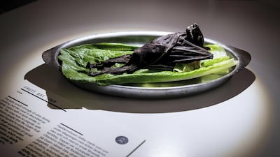 Fruit bat soup from Guam: the furry bat is served whole in a broth made from coconut milk, ginger and spices. Photo by Anja Barte Telin 