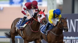 Forever Young under Ryusei Sakai, left, on his way to victory in the UAE Derby at the 2024 Dubai World Cup. Getty Images