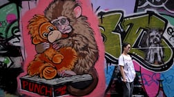 A tourist poses in front of a street mural by artist Jason Grech of Punch, the baby macaque monkey and his stuffed orangutan toy, in a Melbourne. AFP