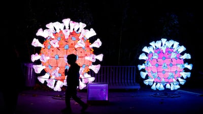 A light festival preview at the Jardin des Plantes in Paris, France, on November 12, 2022. Reuters