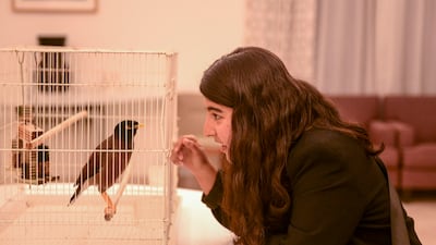 Alia, 18, an Afghan refugee, with her pet bird. She brought Juji with her on the evacuation flight to the UAE but was forced to leave the bird behind when she moved to France with her family. All photos: Khushnum Bhandari / The National