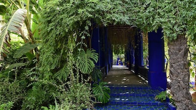 Thousands of tourists usually walk within the Jardin Majorelle in Marrakech, Morocco every day. Getty Images