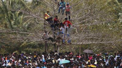 Sri Lanka’s cricket fans watch the match from a tree during the final ODI (One Day International) cricket match between Pakistan and Sri Lanka in Dambulla. Dinuka Liyanawatte / Reuters