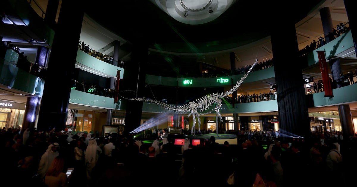 Zeitrahmen: Als ein 155 Millionen Jahre alter Dinosaurier zum ersten Mal ...