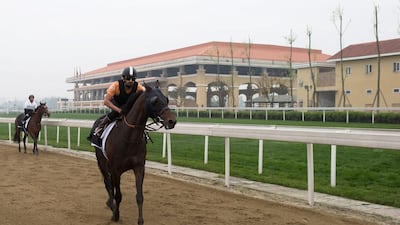 Ahmed Ajtebi, right, and Royston Ffrench ride during morning trackwork ahead of Sunday's Chengdu Dubai International Cup at Jinma Racecourse on April 4, 2014 in Chengdu, China. The Meydan Group are partnering with Chengdu Municipal, Chengdu Sports Bureau, the Wenjiang District Government and China Gunagsha Group to stage the inaugural Chengdu Dubai International Cup which will involve horses shipped to China from the UAE. Neville Hopwood / Getty Images