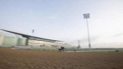 Dark Emerald gets in work on Tuesday ahead of Dubai World Cup night on Saturday. Dark Emerald will run in the Godolphin Mile. Ali Haider / EPA