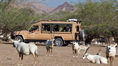 Sir Bani Yas Island has been selected as one of the world’s Top 40 Holiday Hotspots for 2014 by The Guardian, a UK newspaper, making it the only destination in the Arabian Gulf to be featured on the list. Photo Courtesy-Martin Pfeiffer