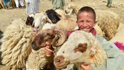 A child holds sacrificial animals displayed for sale at a livestock market on the eve of Eid Al Adha in Karachi, Pakistan. EPA