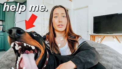 Influencer Brooke Houts is in hot water after accidentally uploading footage of herself abusing her dog.