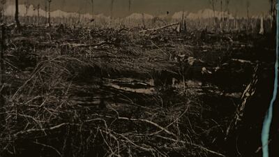 Blackwater 3, 2008 – 2012. From the series Blackwater, 2008–1. Tintype. Photo: Sally Mann and Gagosian