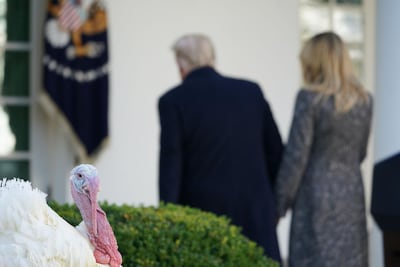 Donald and Melania Trump depart after the turkey pardon at the White House. AFP