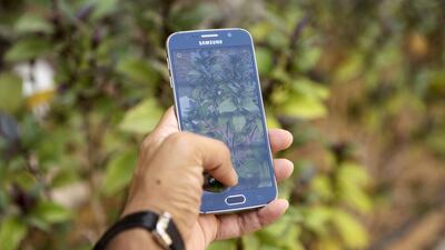 The app isn’t limited to just people who have spotted new animals, it can also be wildlife that they run into on a day-to-day basis. Christopher Pike / The National