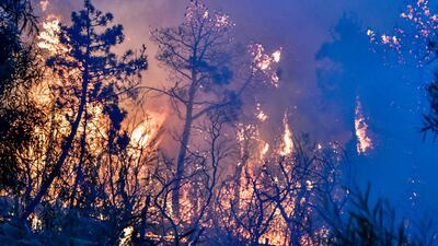 Algerian meteorological services said a record heatwave would hit the country in the coming days, with temperatures reaching 48ºC. AFP