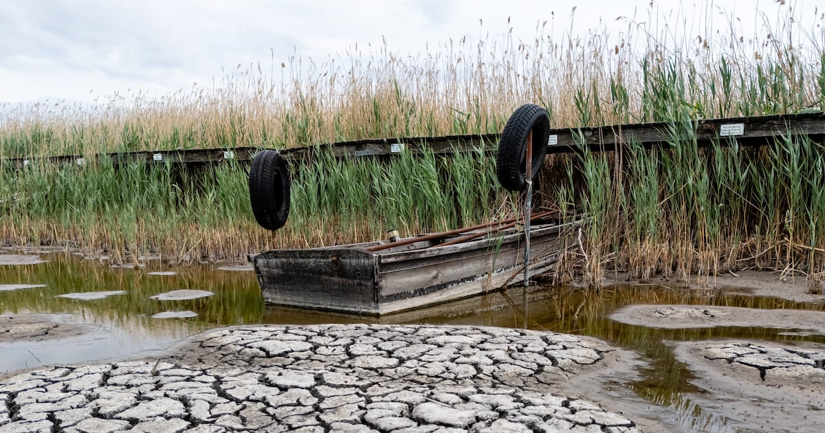 How the Gulf crisis and a hot year are changing the energy debate