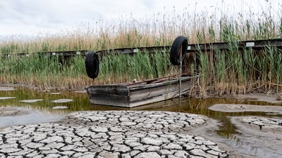 The dried-up bed of Lake Velence in Hungary this month. After the recent record European heatwave, politicians need pragmatism more than luck to survive. EPA