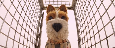 Bill Murray voices Boss in 'Isle of Dogs'. Courtesy Fox Searchlight