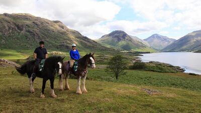 Courtesy Cumbrian Heavy Horses