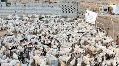 The ERC hopes 904 portions of meat will be distributed over Eid Al Adha. Photo: Wam