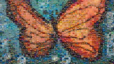 Sisters Grimm have released a new single on World Wildlife Day. Courtesy Sisters Grimm