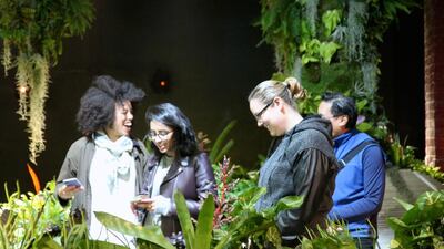 Visitors to the Lowline in New York get a look into what the future holds for urbanisation. Courtesy of the Lowline