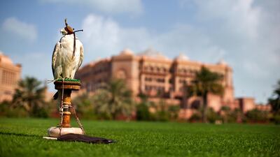 At the heart of the collection is the deep connection between Emiratis and their birds.