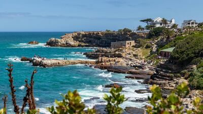 South Africa's Cape Whale Coast comes into its own every August