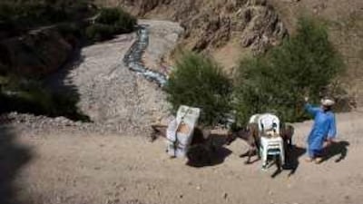 A man guides his donkeys carrying election supplies along a mountain path near Faizabad.