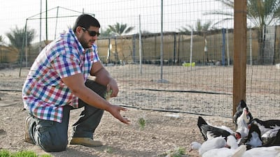 Mohammed Salama feeds the animals at Yas Farm. Lee Hoagland / The National