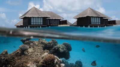 The Maldives is striving to protect its aquatic habitats as it fights the effects of climate change. Photo: Coco Collection