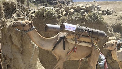 Many of the oxygen bottles are donated by the Emirates Red Crescent. Taha Saleh for the National