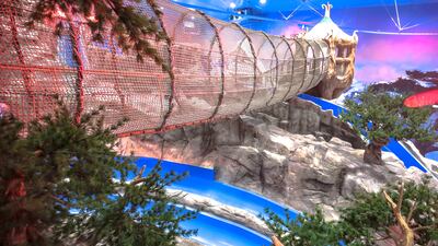 Snow Abu Dhabi is one of Reem Mall's main entertainment attractions. It opened in May last year