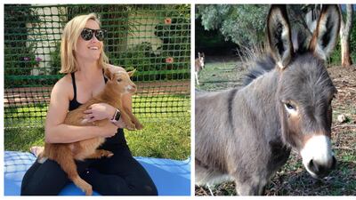 Reese Witherspoon: As well as an adorable pet goat, the Oscar-winning actress and producer also has a donkey named Honky living at her Malibu estate. Instagram