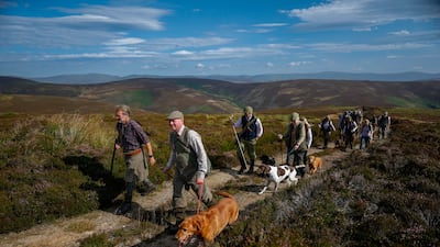 A shooting party in the Angus Glens as the grouse season opens, in Kirriemuir, Scotland. Getty Images