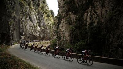 The peloton during Stage 14.
