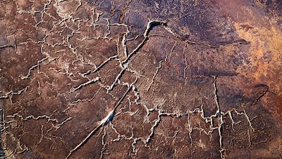 J Henry Fair, US, Shortlist, Professional competition, Environment, Sony World Photography Awards.