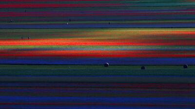 A view of fields of flowers is seen during the annual blossom in Castelluccio, Italy. Reuters