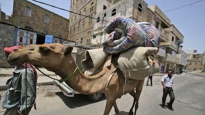A Yemeni man walks with a camel in Taiz, Yemen. Scientists say the mysterious Mers virus has been infecting camels in Saudi Arabia for at least two decades. Anees Mahyoub / AP Photo / File pic June 8, 2011