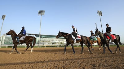 Vadamos (2nd from left) during trackwork at Meydan before the Dubai World Cup. 21 March 2016. Photo Courtesy: Andrew Watkins/Dubai Racing Club