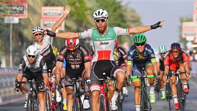 Italian rider Giacomo Nizzolo, centre of Trek-Segafredo, celebrates after crossing the finish line to win Stage 1 of the Abu Dhabi Tour cycling race over 147km in Madinat Zayed, Abu Dhabi, UAE, on Thursday, October 20, 2016. Luca Zennaro / EPA