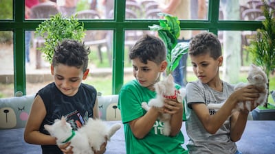 Boys hold felines at the newly inaugurated Cat Cafe in Gaza City on August 17, 2023. (Photo by MOHAMMED ABED / AFP)
