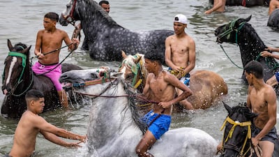 Moroccan Fantasia (tbourida) horsemen ride their horses in the Atlantic ocean waters off a beach in leisure time during the annual Moussem festival of Moulay Abdellah Amghar near the city of El Jadida on August 8, 2023. (Photo by FADEL SENNA / AFP)